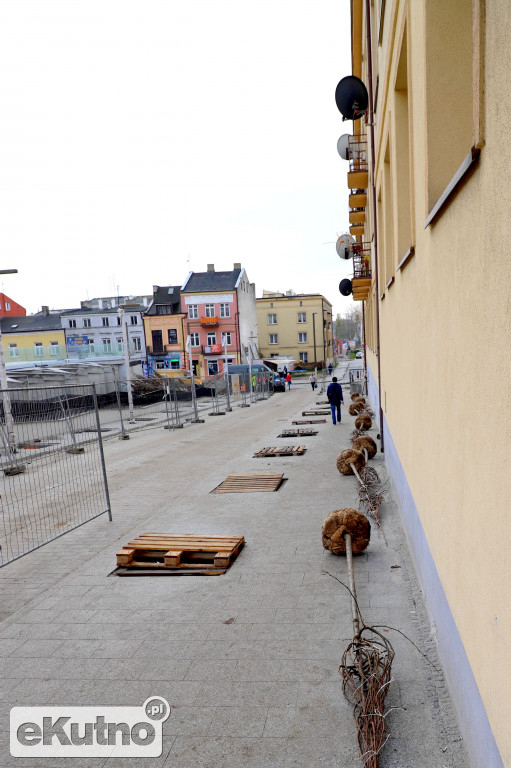 Nasadzenia w centrum Kutna