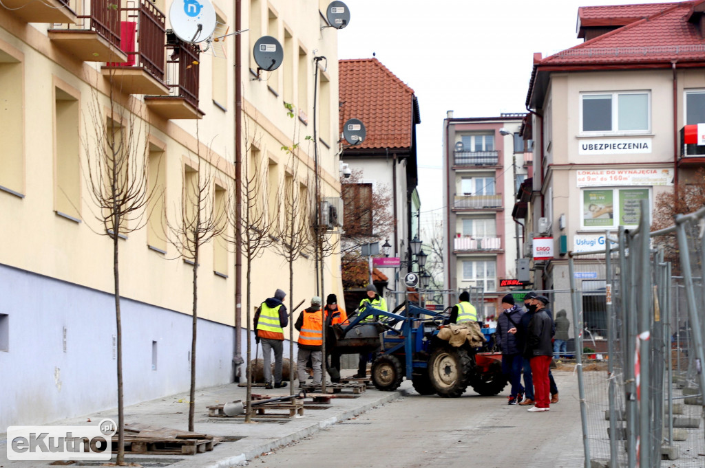 Nasadzenia w centrum Kutna