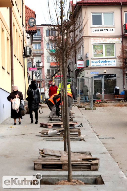 Nasadzenia w centrum Kutna