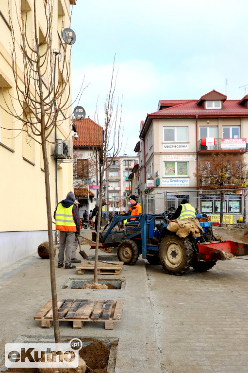 Nasadzenia w centrum Kutna