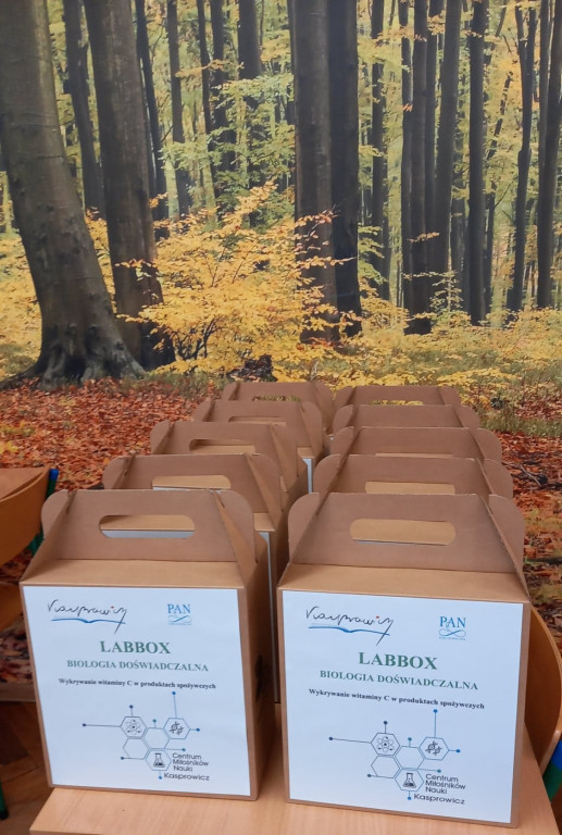 Labboxy z Kasprowicza