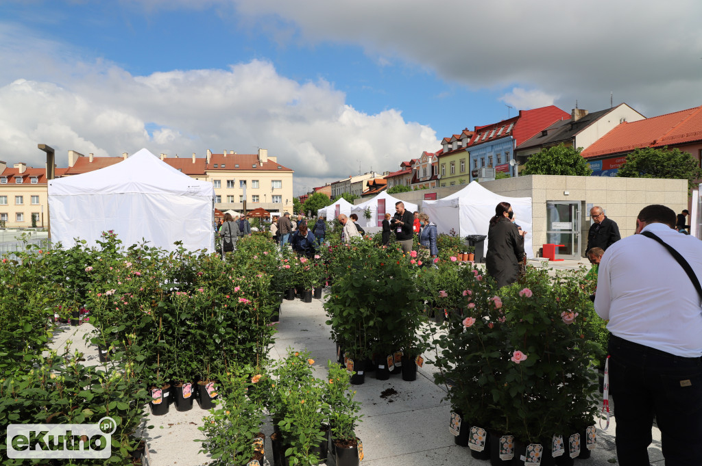 Kiermasz różany