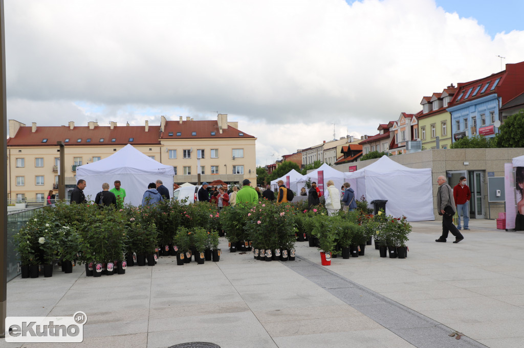 Kiermasz różany