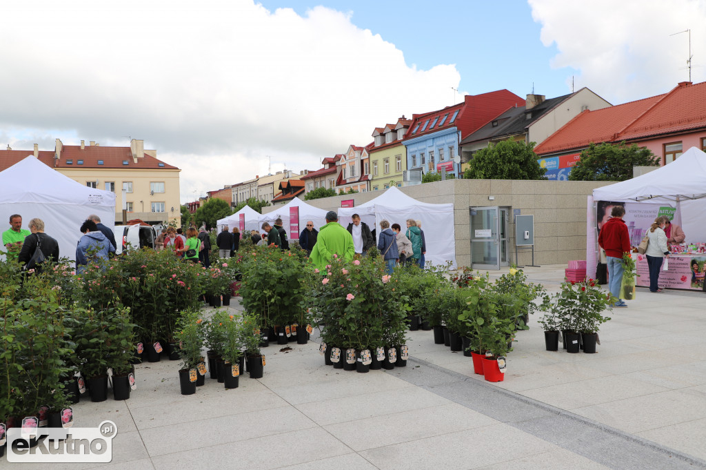 Kiermasz różany