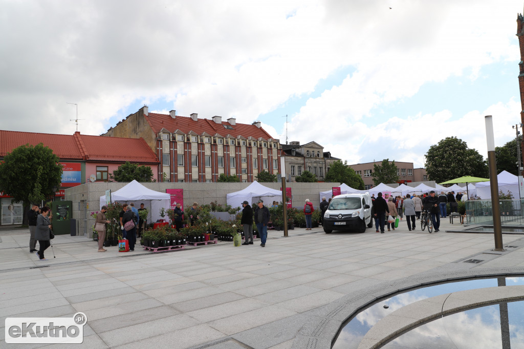 Kiermasz różany