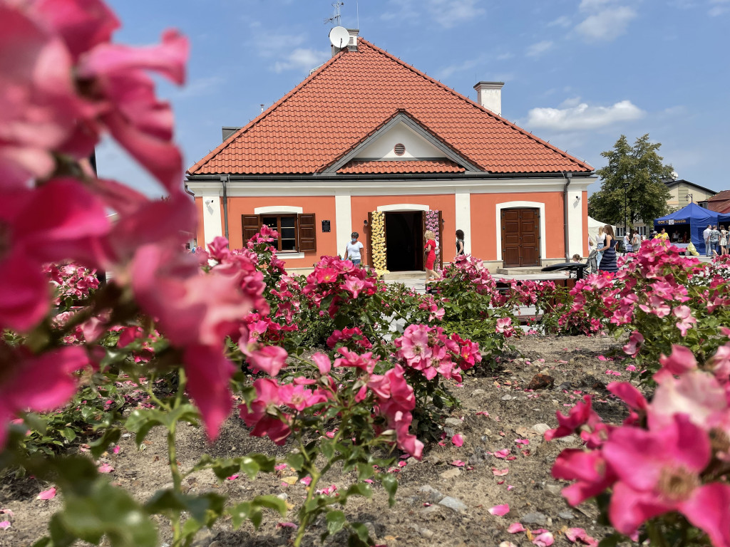 Kutno na Święcie Róż w Końskowoli