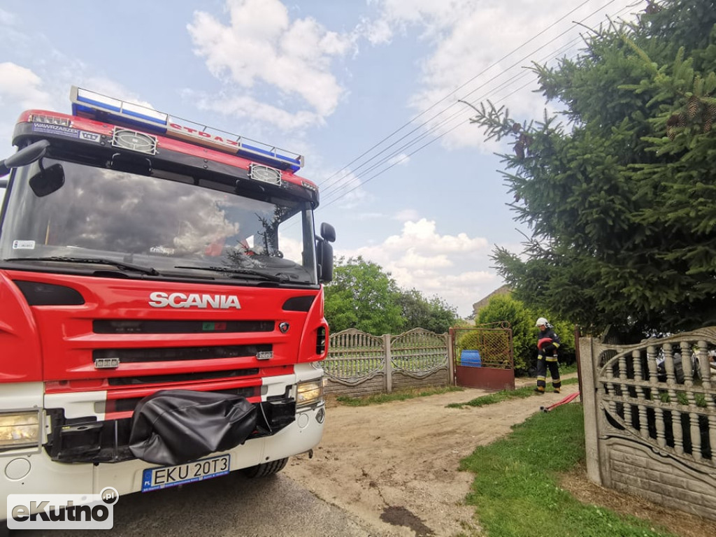 Pożar śmieci w Żychlinie