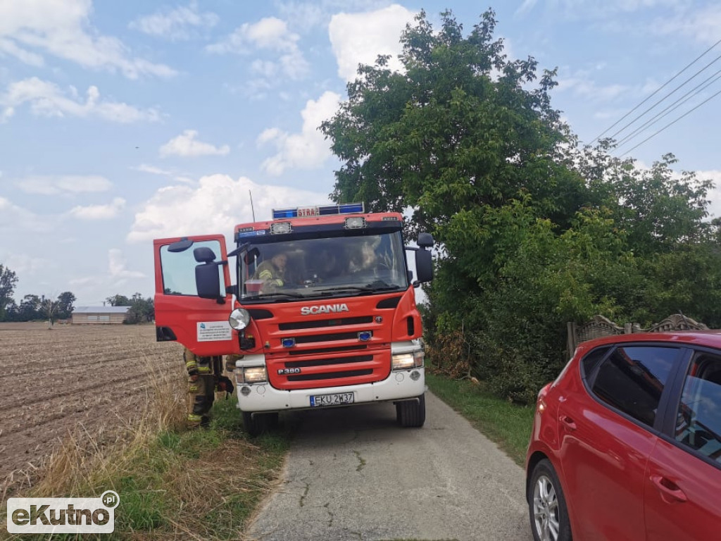 Pożar śmieci w Żychlinie