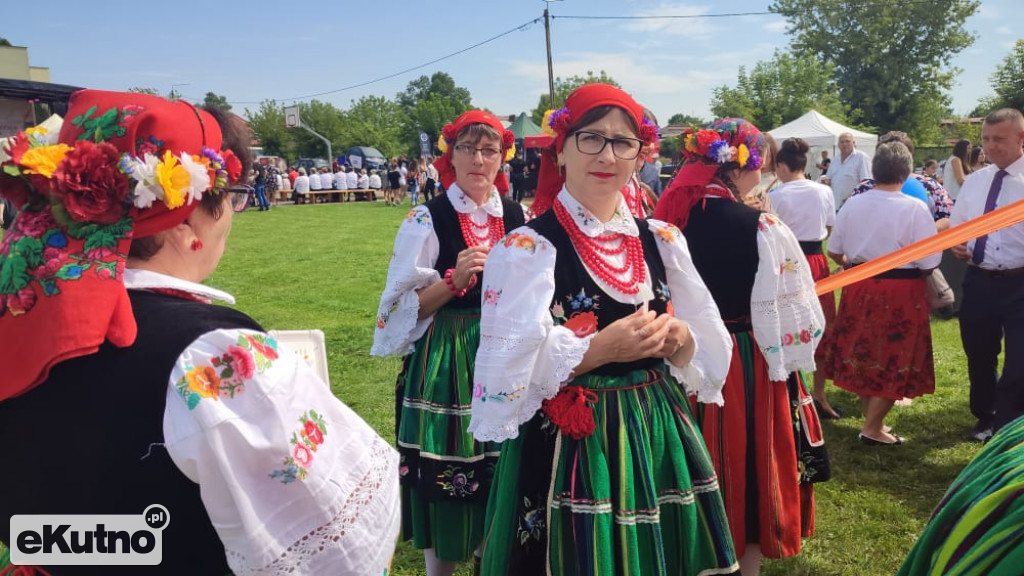 Piknik w Dąbrowicach