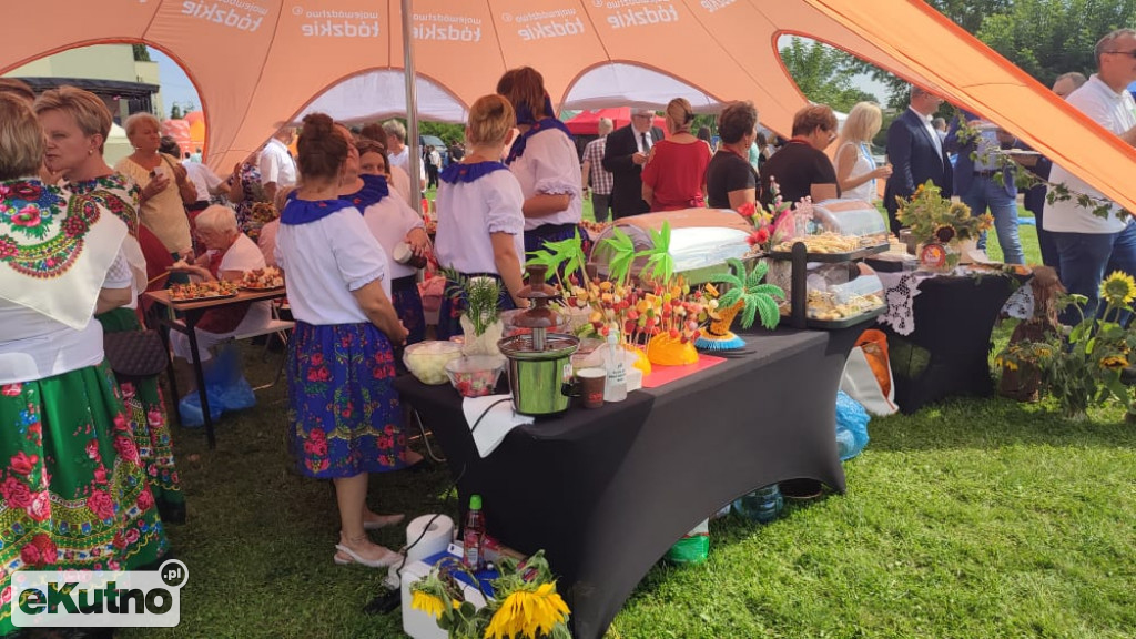 Piknik w Dąbrowicach