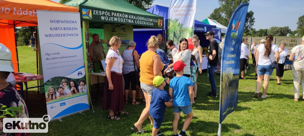 Piknik w Dąbrowicach
