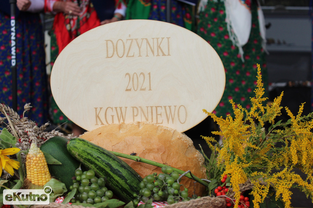 Dożynki w Bedlnie