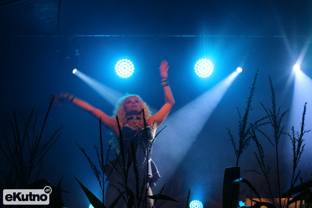 Wielka Gala Disco