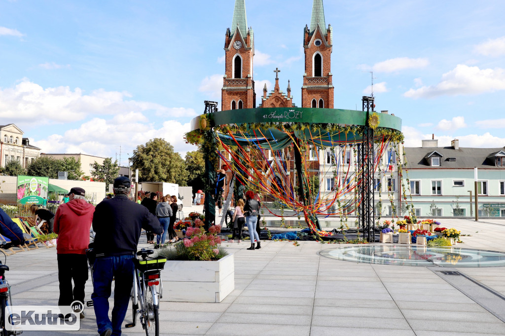 Plac Wolności już w zieleni