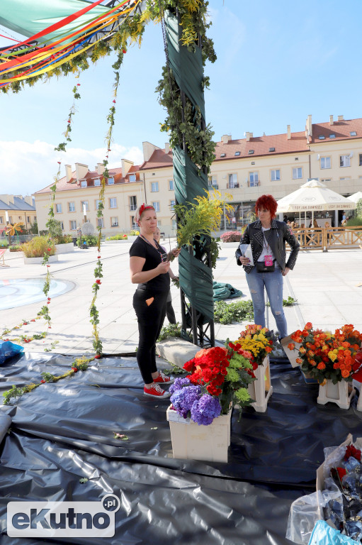 Plac Wolności już w zieleni