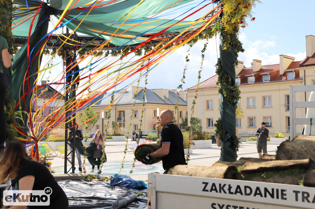 Plac Wolności już w zieleni