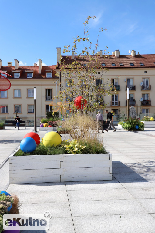 Plac Wolności już w zieleni