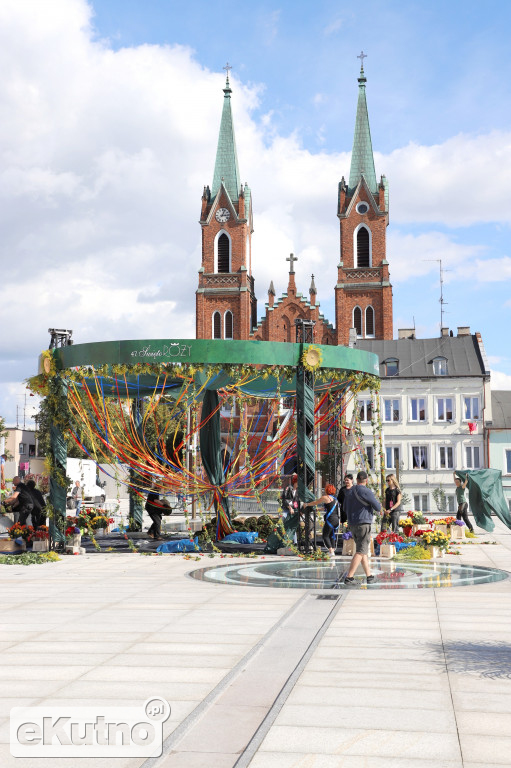 Plac Wolności już w zieleni