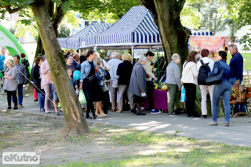 Święto Róży 2021 Sobota - przedpołudnie