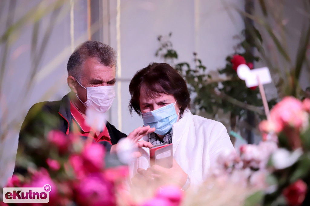 Święto Róży 2021 Sobota - przedpołudnie