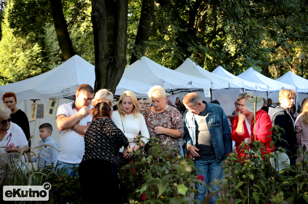 Sobotnie popołudnie na Święcie Róży