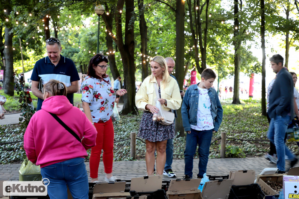 Sobotnie popołudnie na Święcie Róży