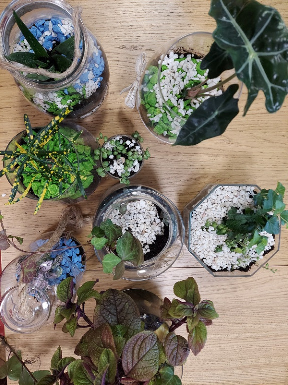 Warsztaty florystyczne Wiszące Ogrody