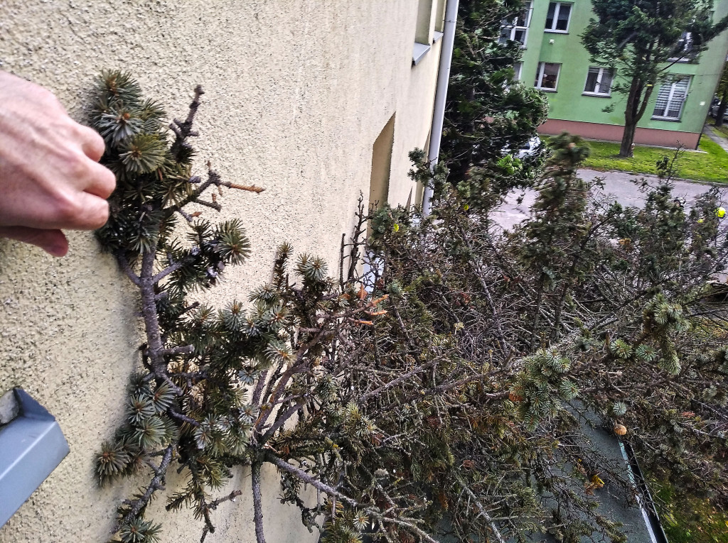 Wichura w powiecie