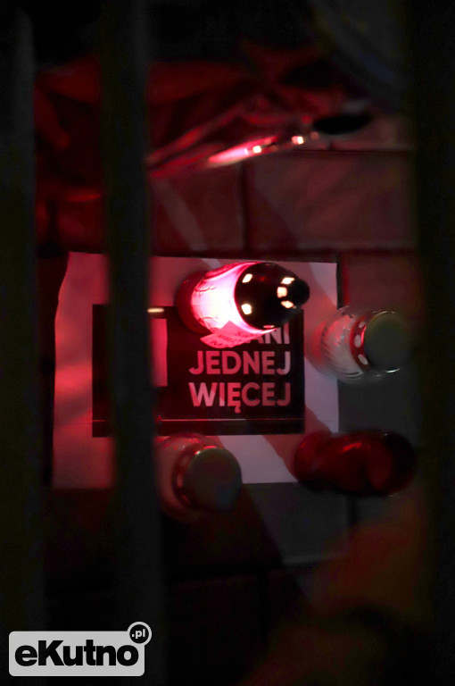 Ani jednej więcej