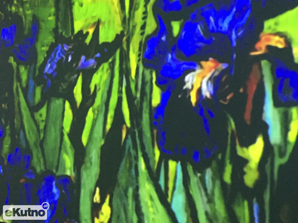 Van Gogh w Warszawie