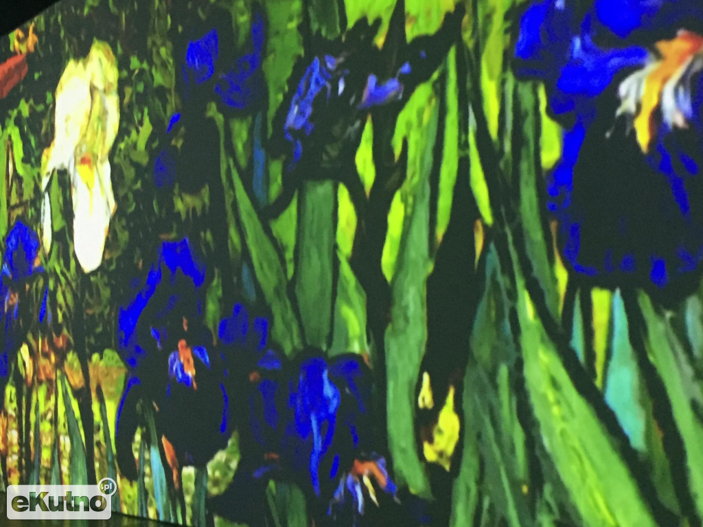 Van Gogh w Warszawie