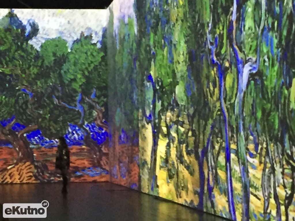 Van Gogh w Warszawie