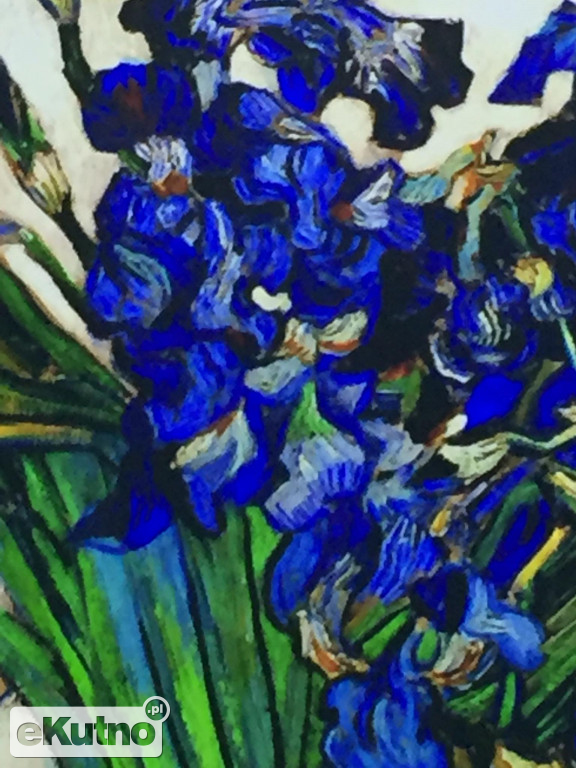 Van Gogh w Warszawie