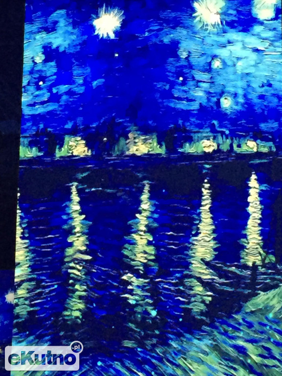 Van Gogh w Warszawie
