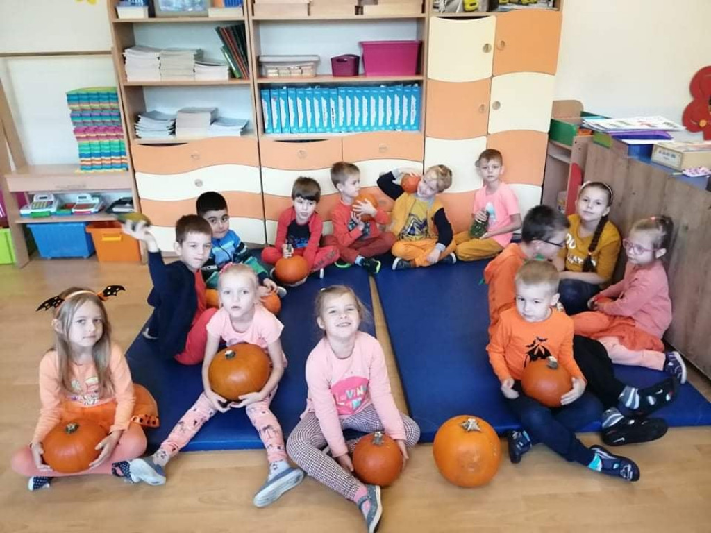 Przedszkolny klub ekologów