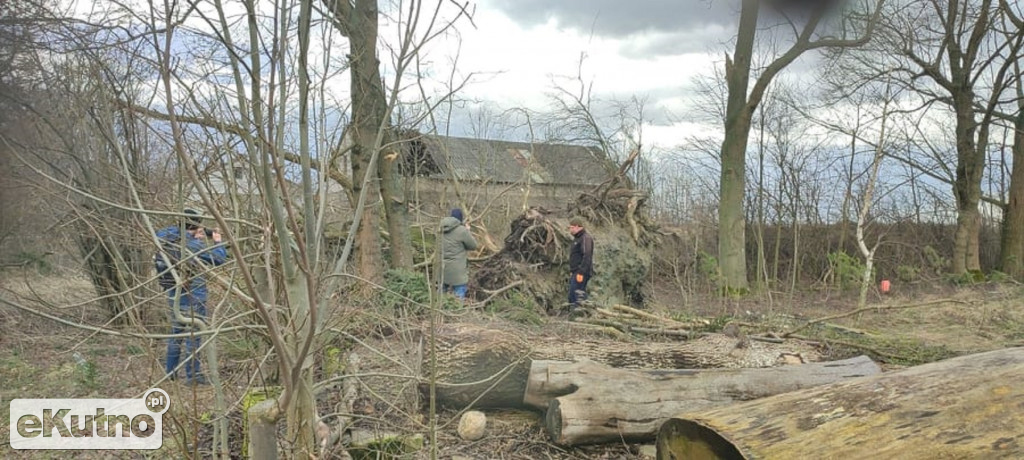 Zniszczenia po wichurze