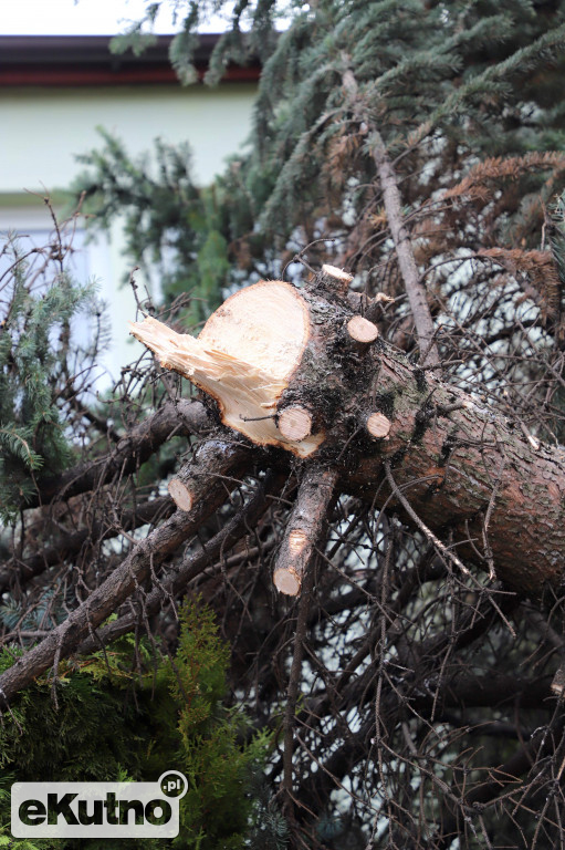 Zniszczenia po wichurze