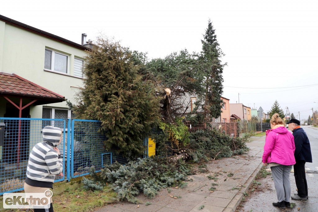 Zniszczenia po wichurze