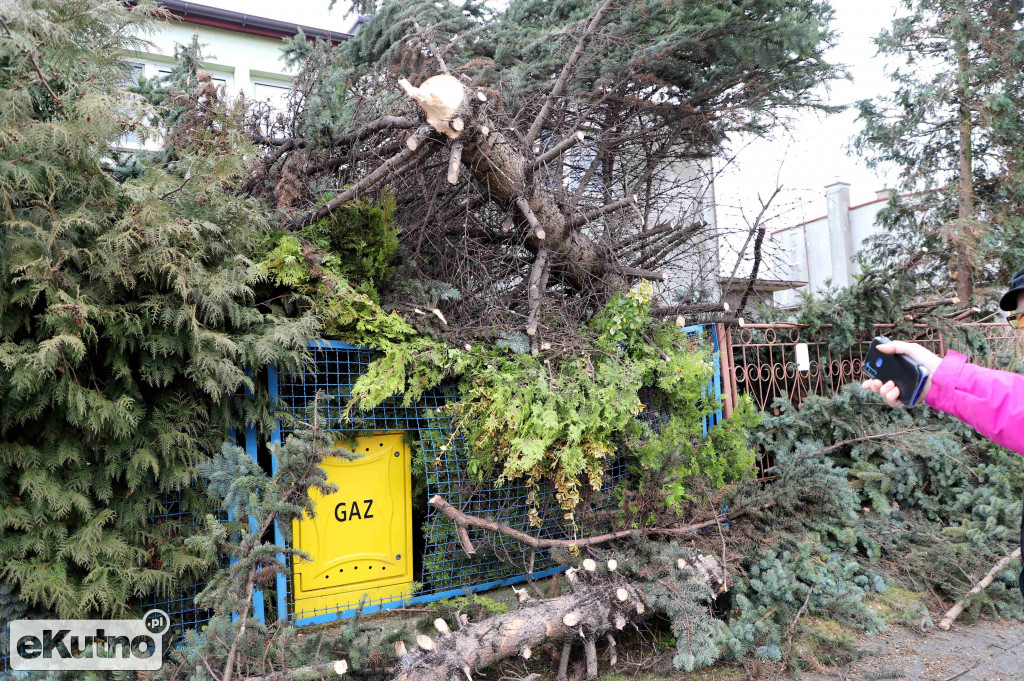 Zniszczenia po wichurze