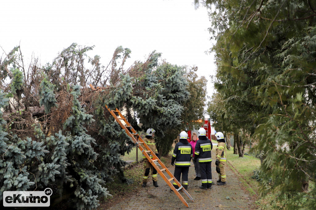 Zniszczenia po wichurze