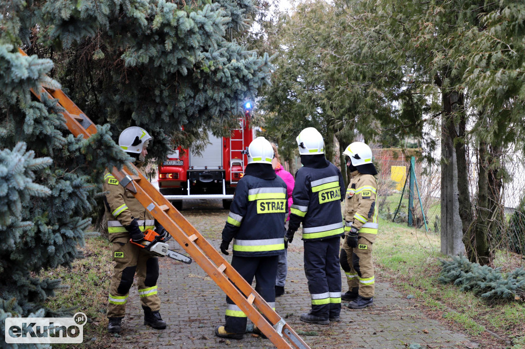 Zniszczenia po wichurze