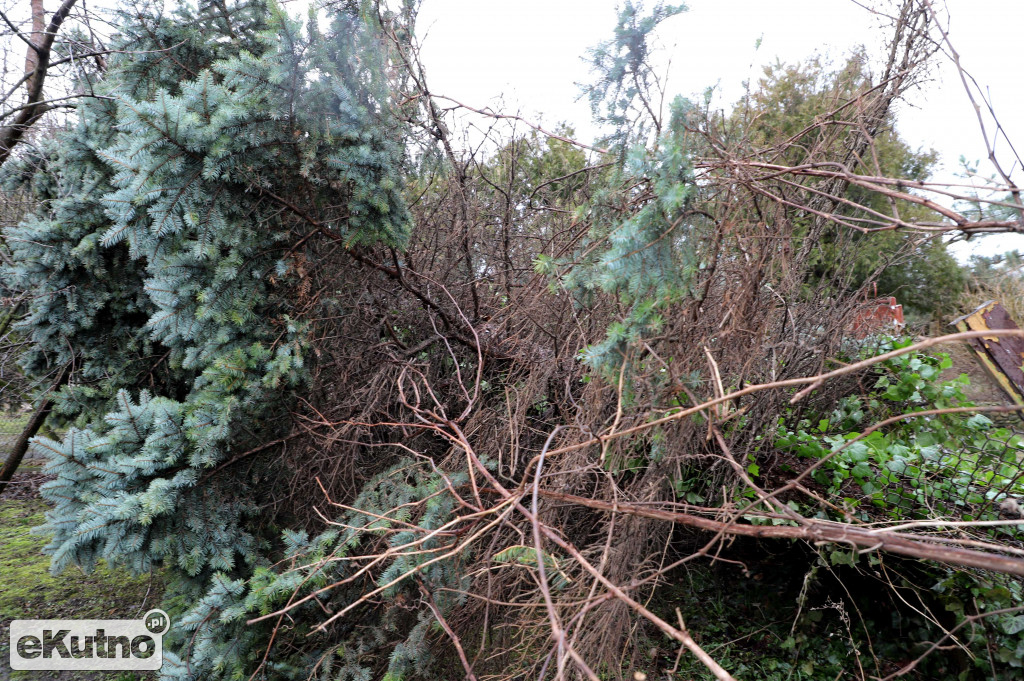 Zniszczenia po wichurze