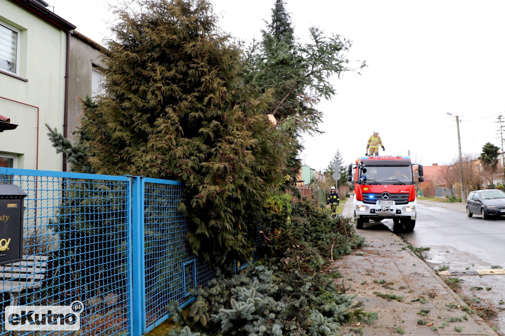 Zniszczenia po wichurze