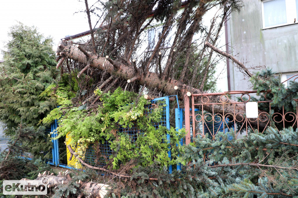 Zniszczenia po wichurze