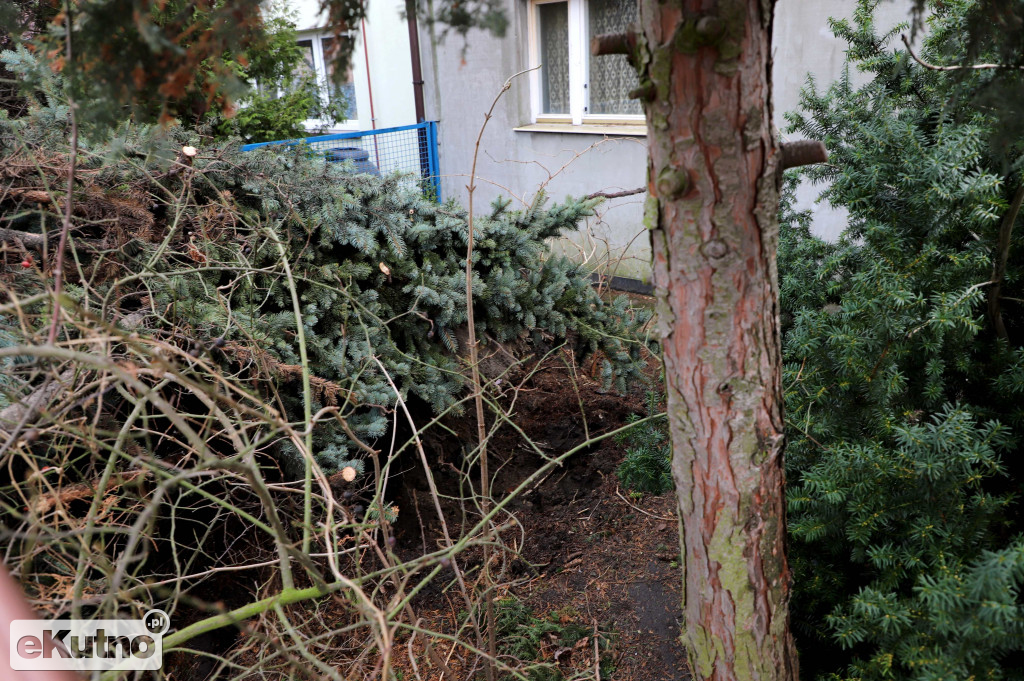 Zniszczenia po wichurze