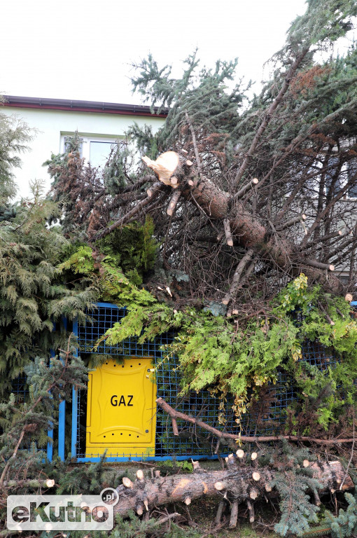 Zniszczenia po wichurze