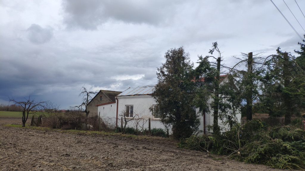 Wichura w Gminie Kutno