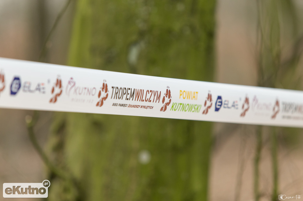 Bieg Tropem Wilczym