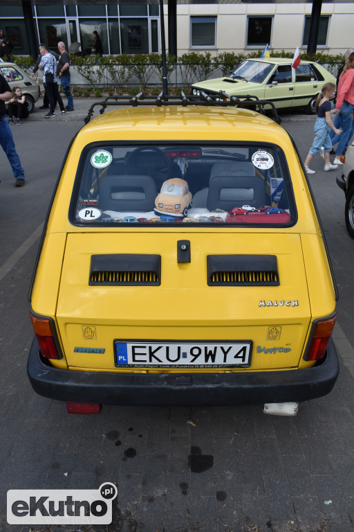 Kutnowska Majówka z Bareją