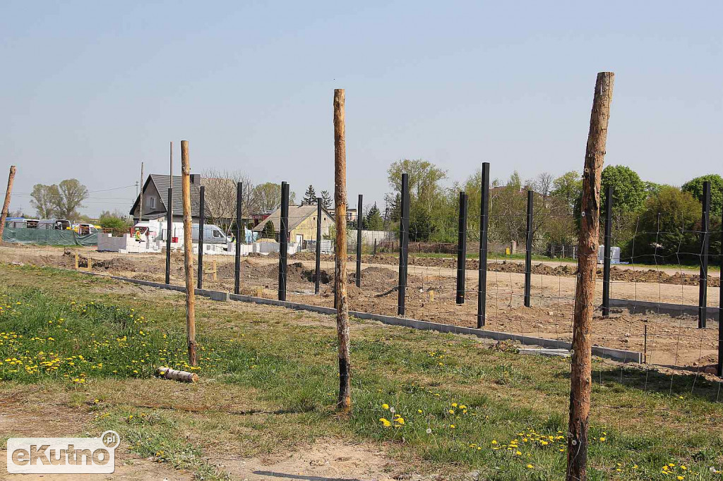 Targowisko w Krośniewicach